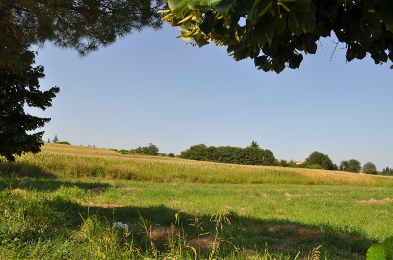 Foto PANTIERE Terreni Agricoli - VENDESI