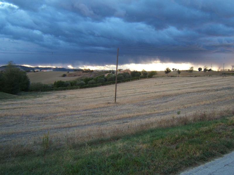 Foto SCORCELLETTI Terreni Agricoli - VENDESI