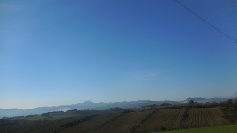 Foto JESI Terreni Agricoli - VENDESI