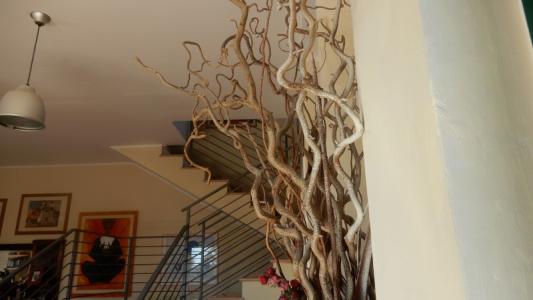 Foto 34