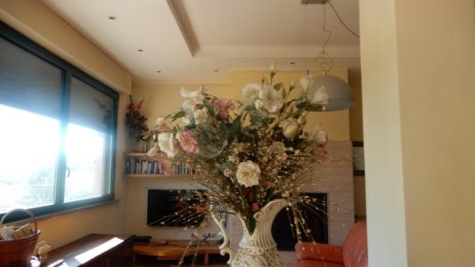 Foto 35