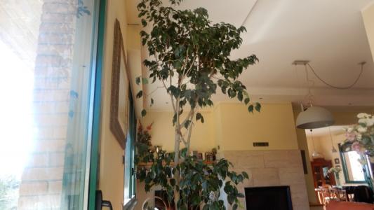 Foto 37