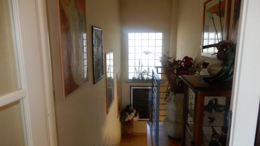 Foto 44