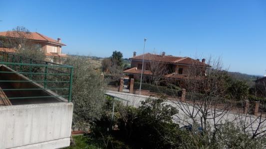 Foto 52