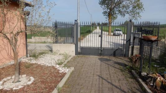Foto 30
