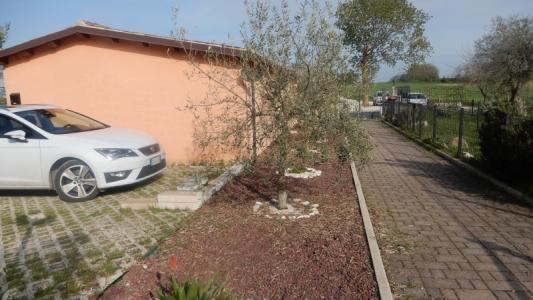 Foto 32