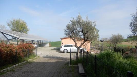 Foto 36
