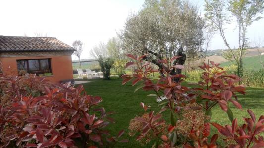 Foto 37