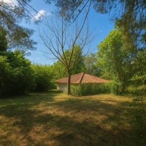 Foto 17