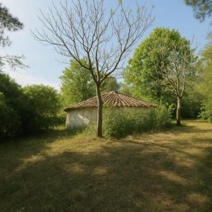 Foto 13