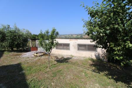 Foto 34