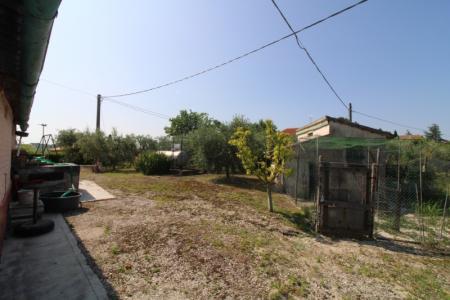 Foto 35