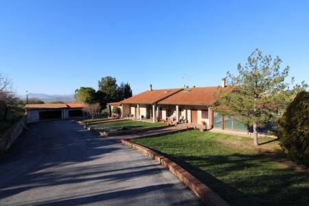 Foto 31