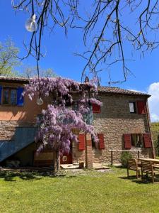Foto 42
