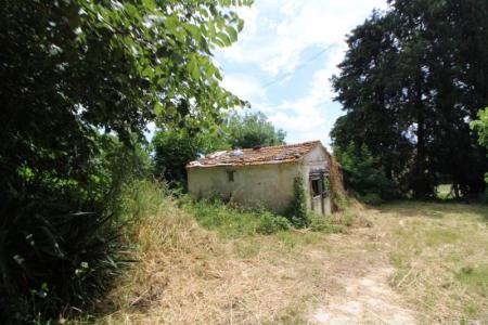Foto 14