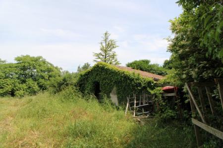 Foto 15