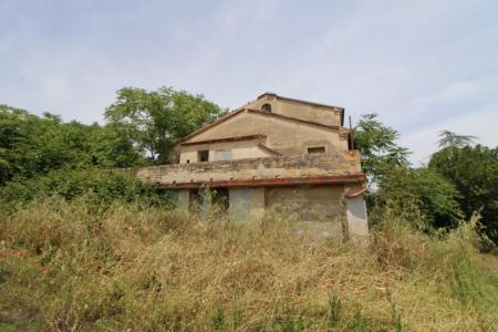 Foto 31