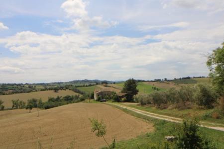 Foto 43